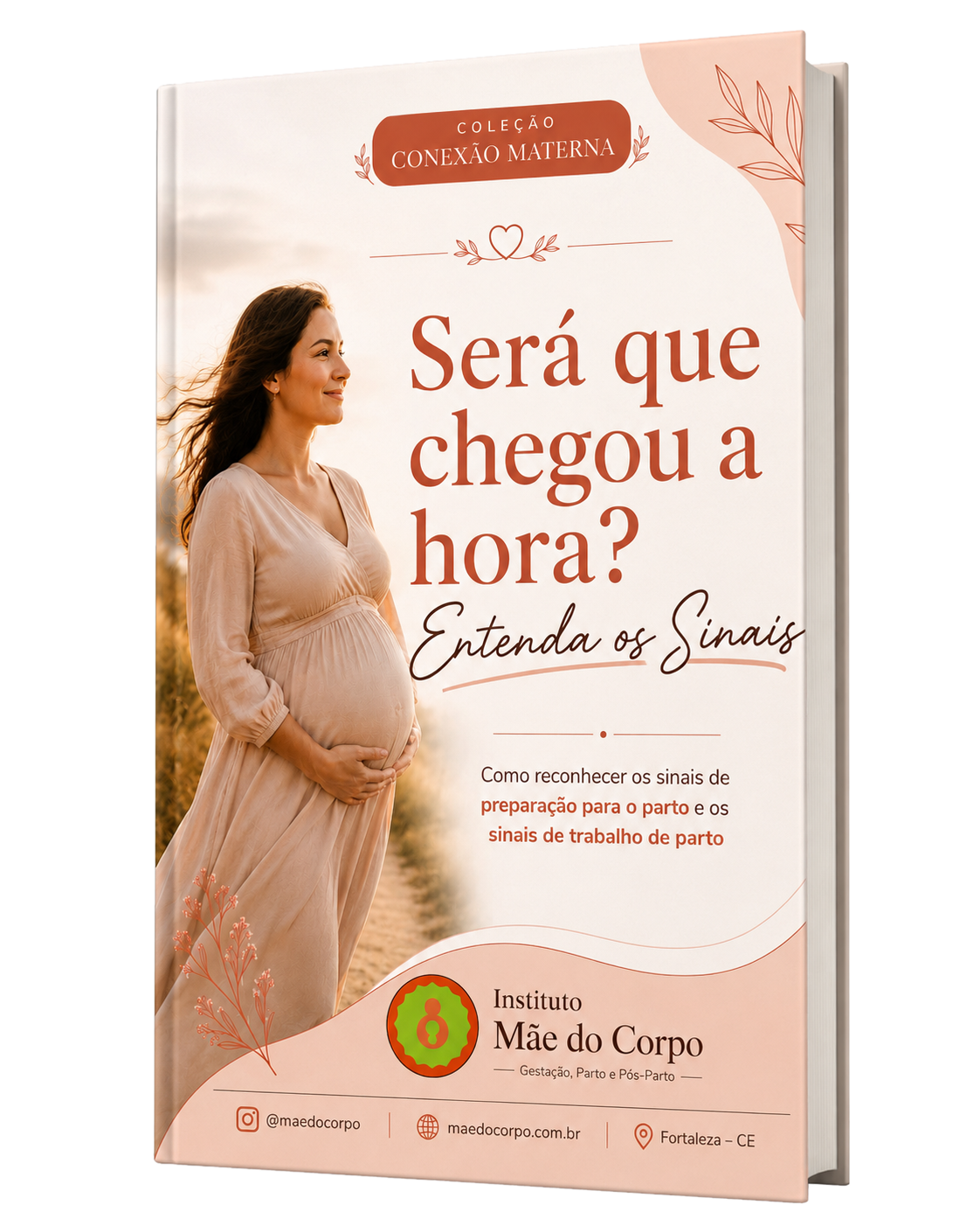 Mockup do e-book Sinais de que o trabalho de parto começou